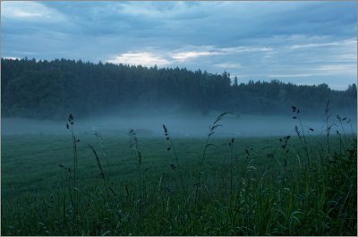 _small_IMGP9971_2_DxO.JPG _small_IMGP9971_2_DxO.JPG