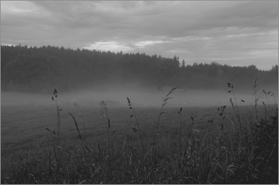 _small_IMGP9971_3_DxO.JPG _small_IMGP9971_3_DxO.JPG