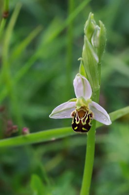 20160608-IMGP3581 Walberla Kopie 800.jpg