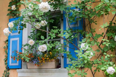 20160611-IMGP3748 Lohndorf Kopie 800.jpg