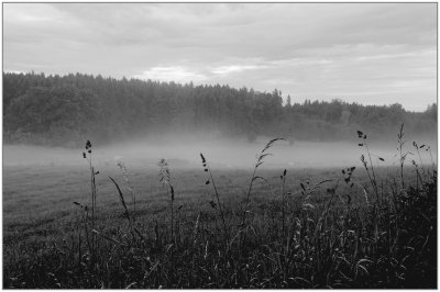 _small_IMGP9971_3_DxO_DxO.JPG _small_IMGP9971_3_DxO_DxO.JPG