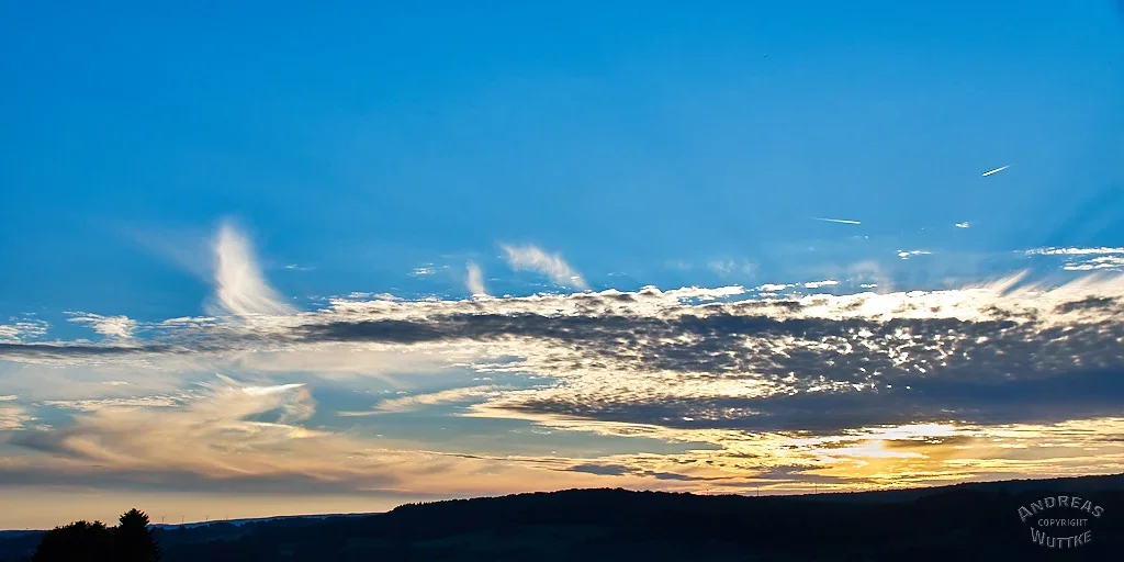 AK5_3900_C1.webp