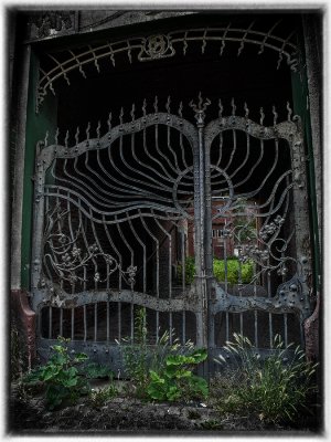 ci_SAM_3932.jpg ci_SAM_3932.jpg