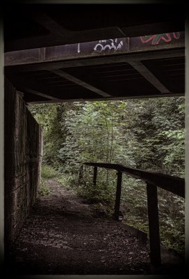 ci_SAM_3993.jpg ci_SAM_3993.jpg