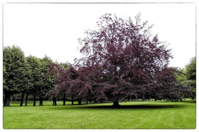 ci_SAM_3999.jpg ci_SAM_3999.jpg