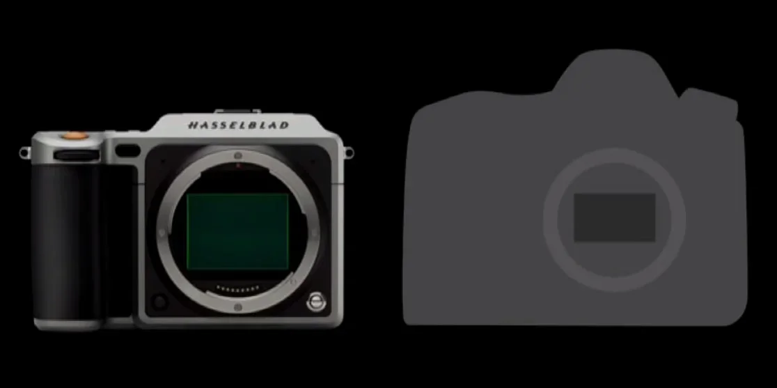 Hasselblad_X1D_vs_NikonD810.webp