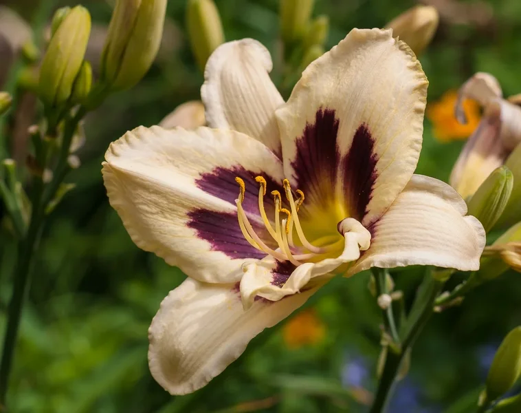 comp_P7057552.webp