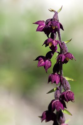 20160707-IMGP6257 Dörrnwasserlos 1200.jpg