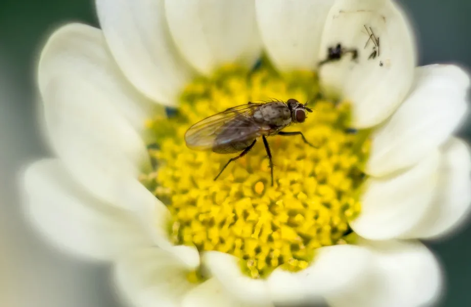 comp_IMGP9865.webp
