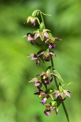 20160708-IMGP6451 Dörrnwasserlos Kopie 1200.jpg