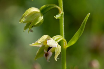 20160708-IMGP6811 Dörrnwasserlos Kopie 1200.jpg