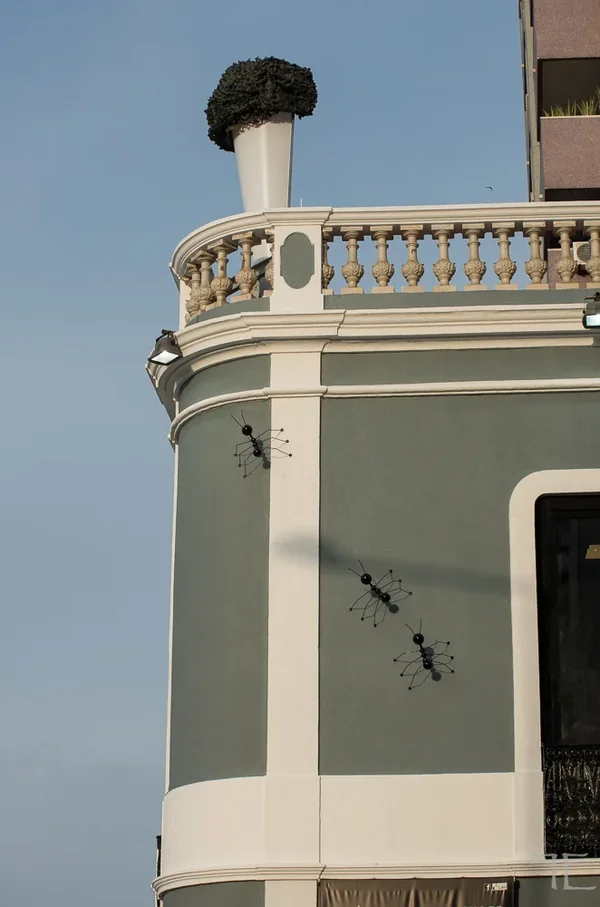 20160706-IMGP9110.webp
