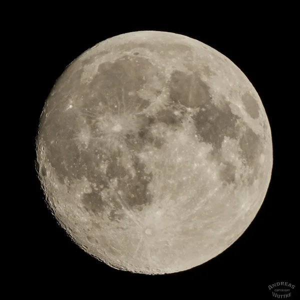 AK3_6005_C1.webp