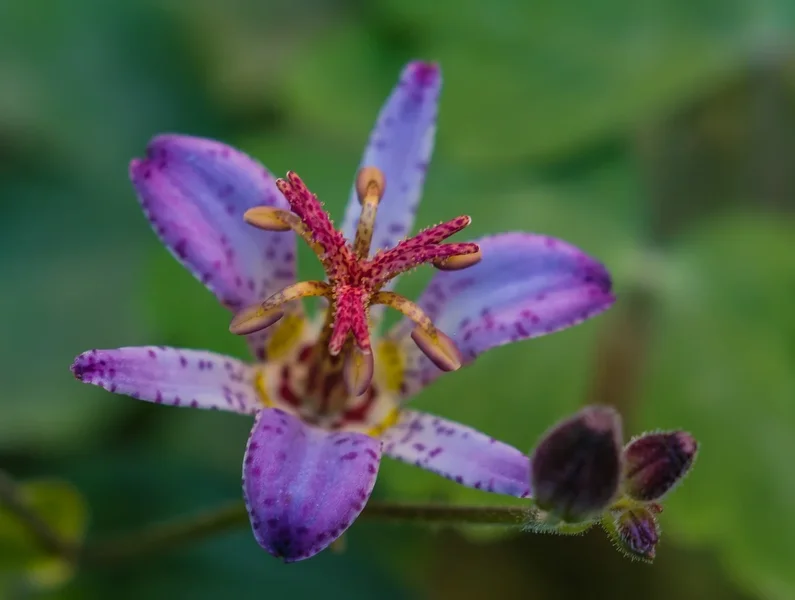 comp_IMGP1090.webp