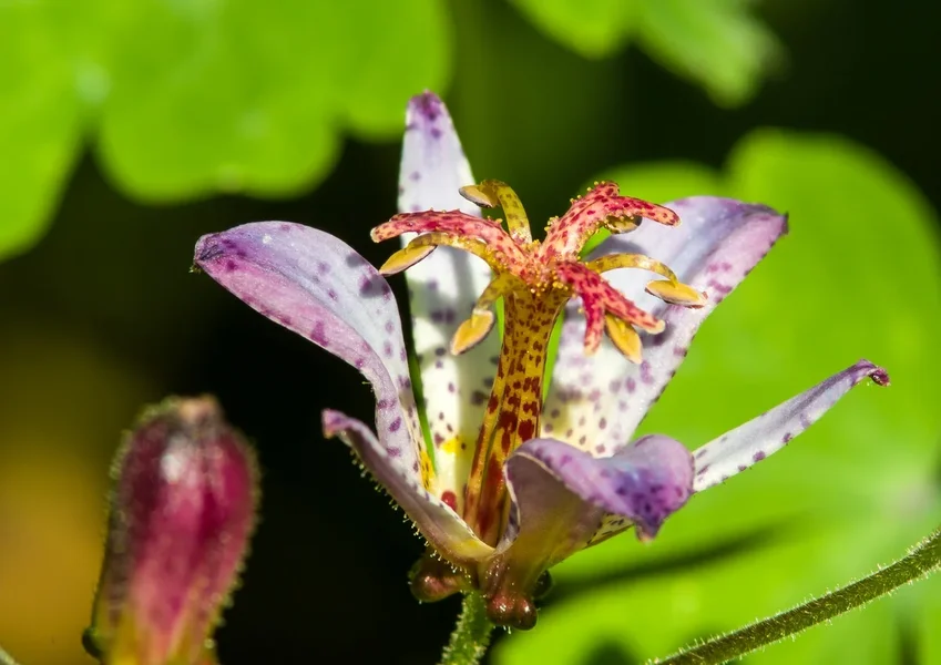 comp_IMGP1107.webp