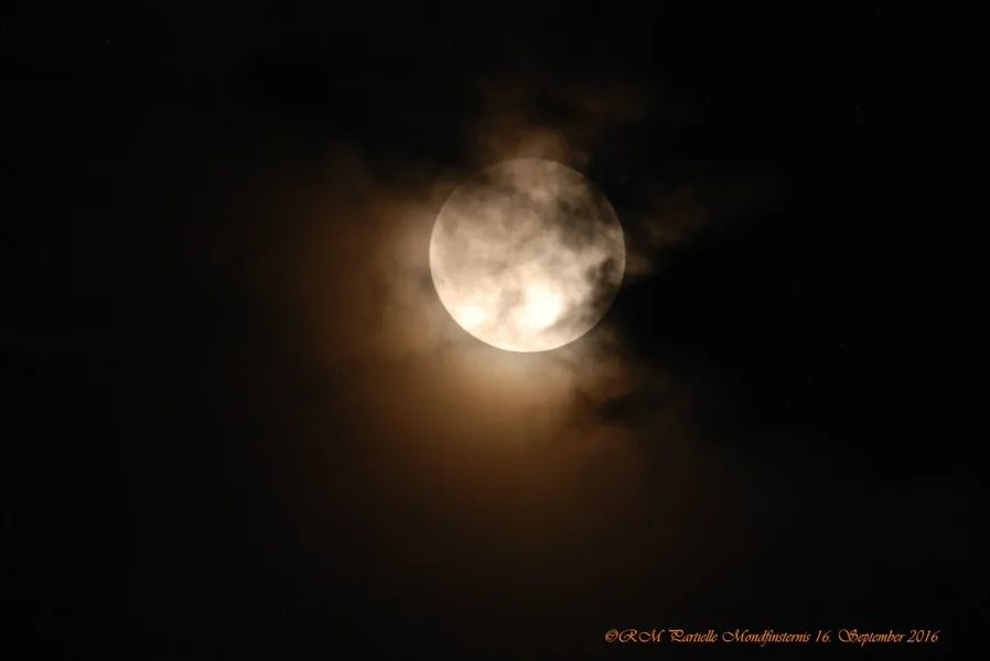 comp_DSC_3566.webp