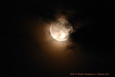 comp_DSC_3566.jpg