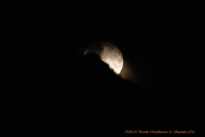 comp_DSC_3579.jpg