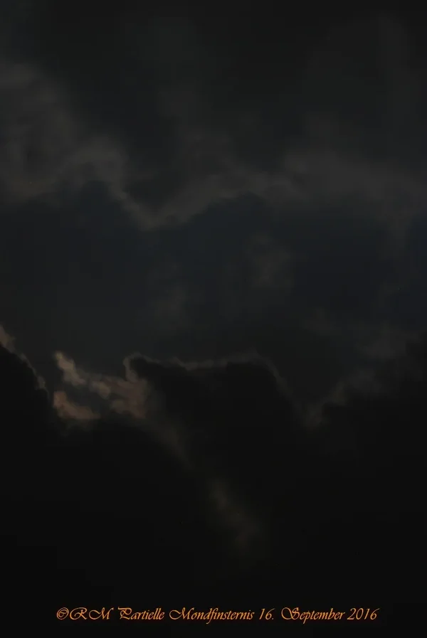 comp_DSC_3586.webp