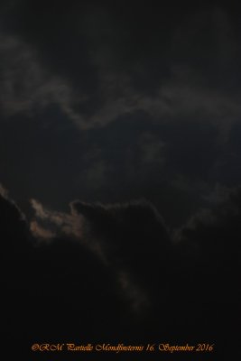 comp_DSC_3586.jpg
