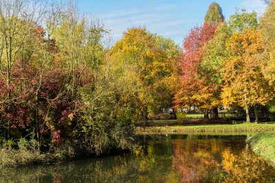 Herbstwettbewerb_1.jpg