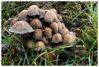 ci_SAM_5346.jpg ci_SAM_5346.jpg