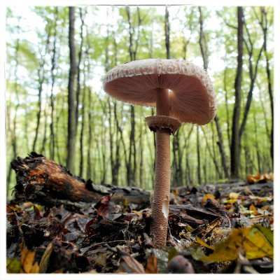 ci_SAM_5386.jpg ci_SAM_5386.jpg