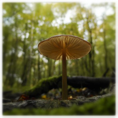 ci_SAM_5394.jpg ci_SAM_5394.jpg