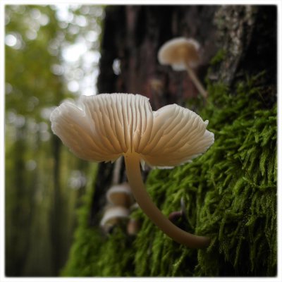 ci_SAM_5398.jpg ci_SAM_5398.jpg