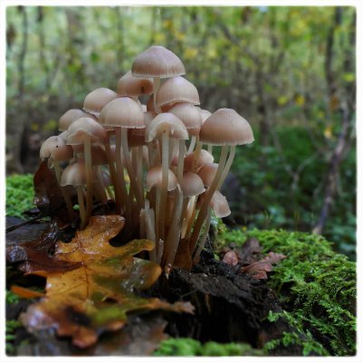 ci_SAM_5420.jpg ci_SAM_5420.jpg