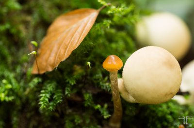 20161027-_IGP1107.jpg 20161027-_IGP1107.jpg