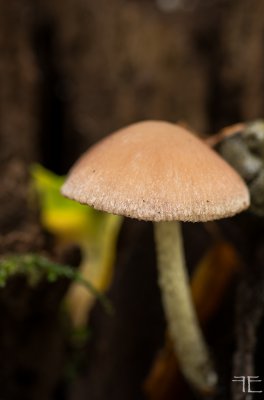 20161027-_IGP1109.jpg 20161027-_IGP1109.jpg