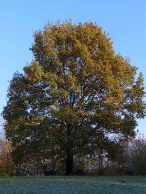 4_HERBST_V_Bildgröße ändern.JPG