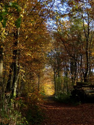 HERBST_kl.JPG