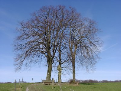 Frühjahr_Bildgröße ändern.jpg