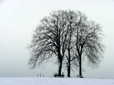 Winter_Bildgröße ändern.jpg