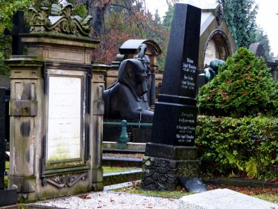 MILL_ALLEE_Bildgröße ändern.JPG MILL_ALLEE_Bildgröße ändern.JPG