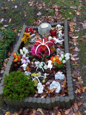 P1140516_Bildgröße ändern.JPG P1140516_Bildgröße ändern.JPG