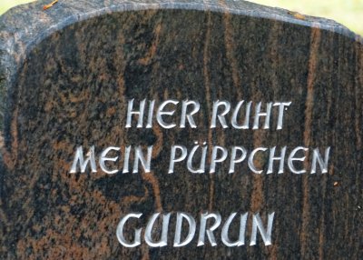P1140543_Bildgröße ändern.JPG P1140543_Bildgröße ändern.JPG