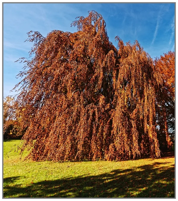 _small__IGP0591_2_DxO_DxO.webp