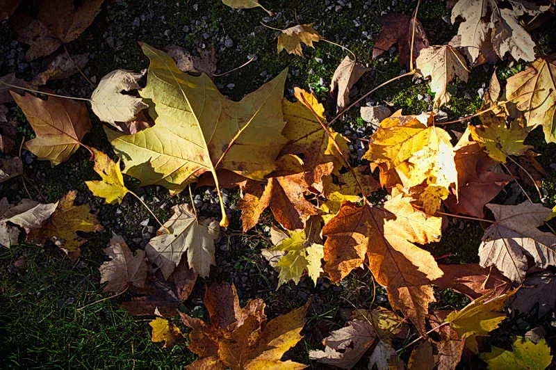 K3IM4644_1.webp