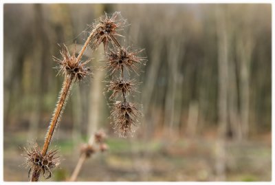 ci_SAM_2285.jpg ci_SAM_2285.jpg