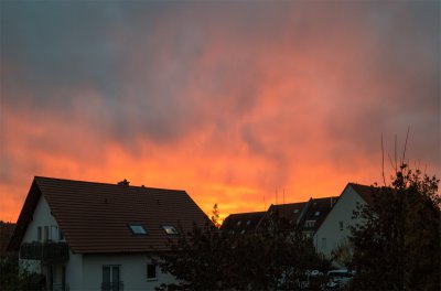 ci_SAM_2303.jpg ci_SAM_2303.jpg