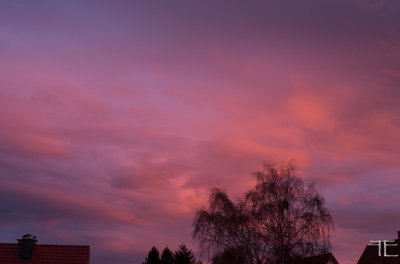 20161121-_IGP1178.jpg 20161121-_IGP1178.jpg