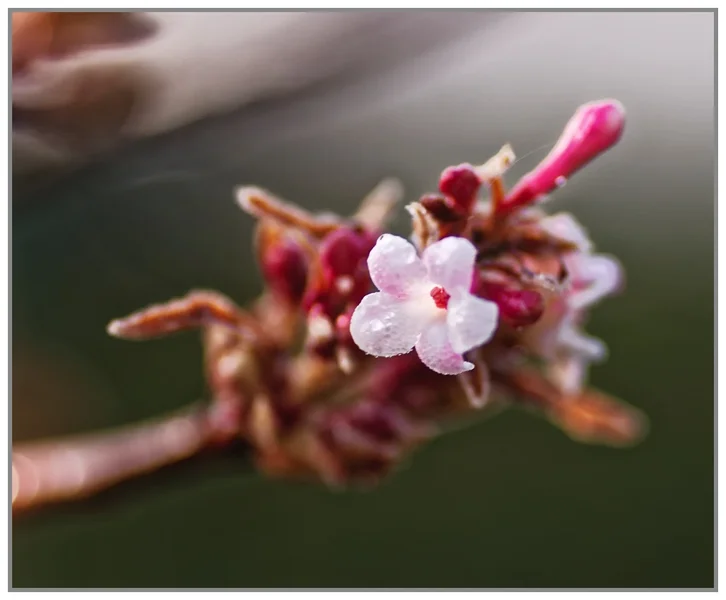 _small__IGP0693_2_DxO.webp