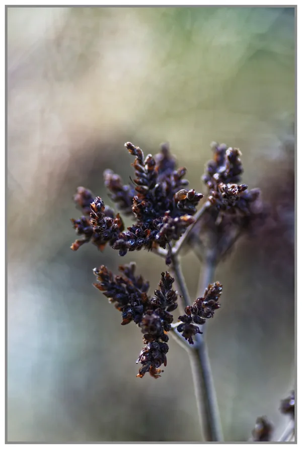 _small__IGP0709_DxO.webp