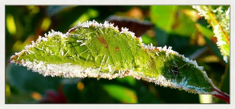 P1040811.webp