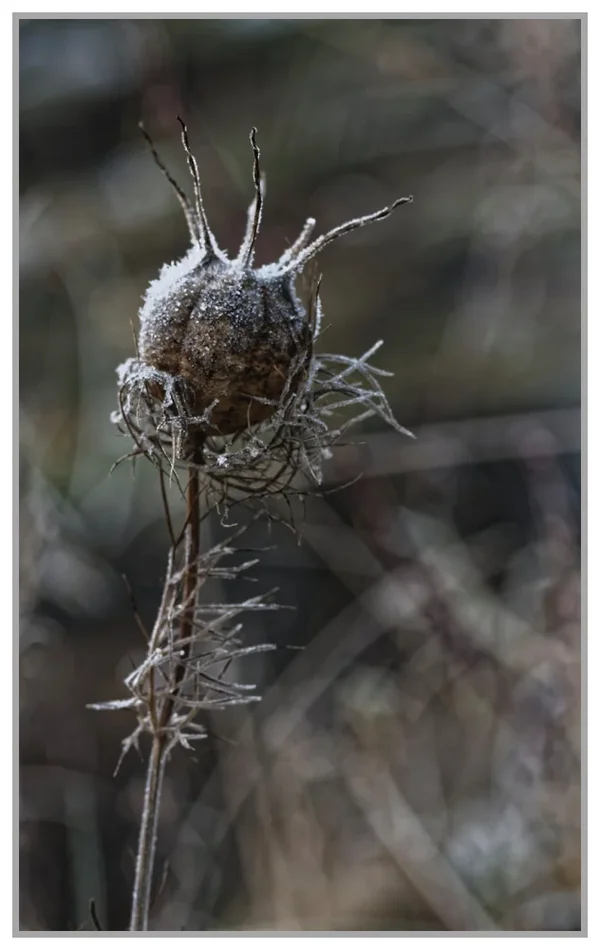 _small__IGP0737_2_DxO.webp