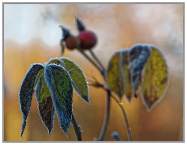 _small__IGP0748_2_DxO.webp