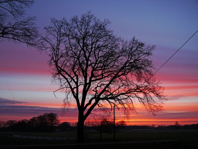 comp_P1050995g.jpg comp_P1050995g.jpg